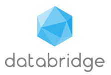 Databridge Logo
